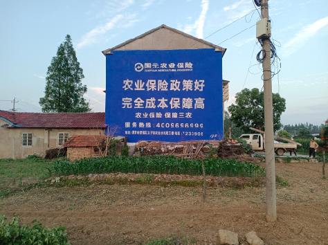  临颍墙体广告为何受追捧？