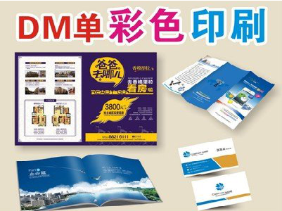  临颍单页印刷，色彩搭配简单。